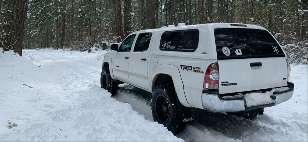 Snow Taco 2_13_21 _2.png