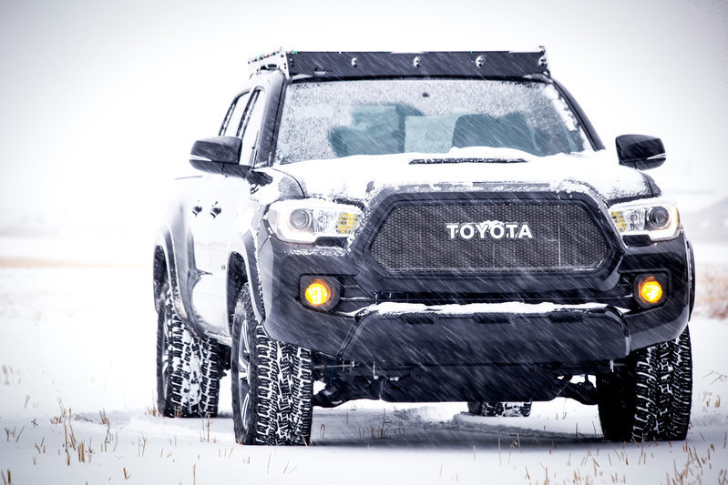 SNOW TACO 4 (1 of 1).jpg