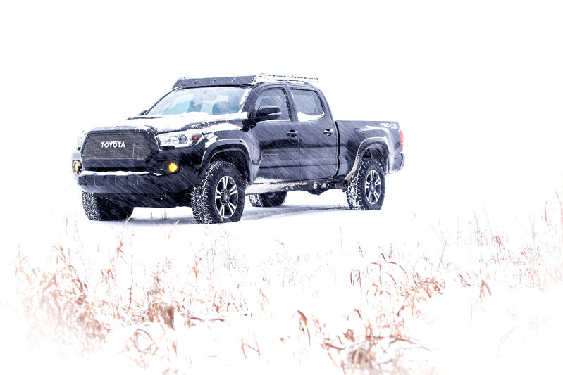 SNOW TACO 5 (1 of 1).jpg