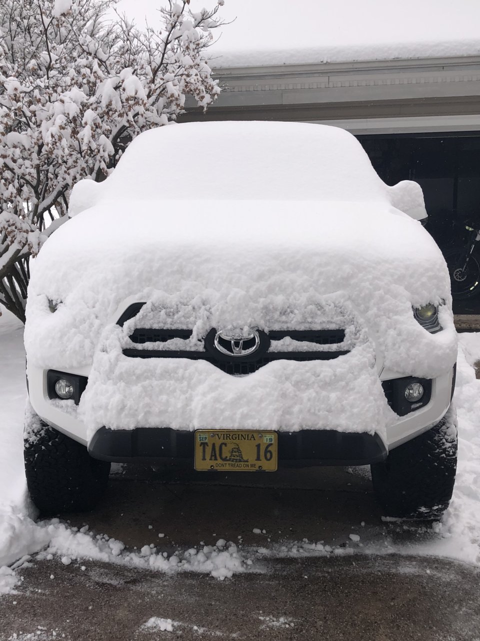 Snow-Taco.jpg