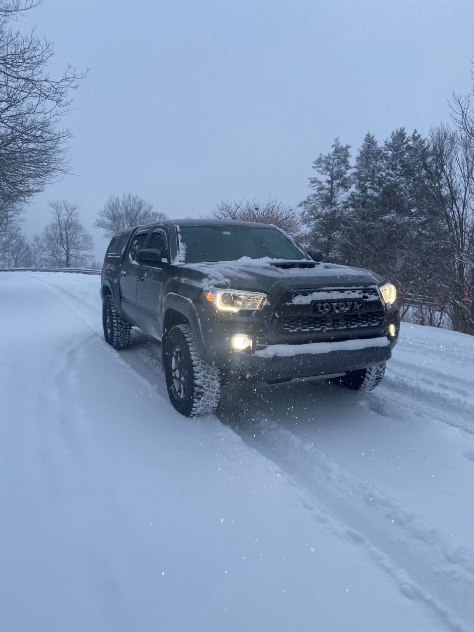 Snow Taco.jpg