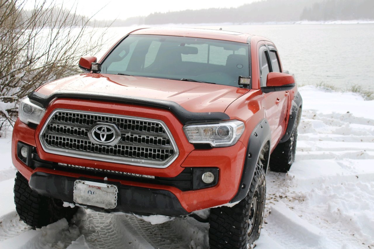 snow taco.jpg
