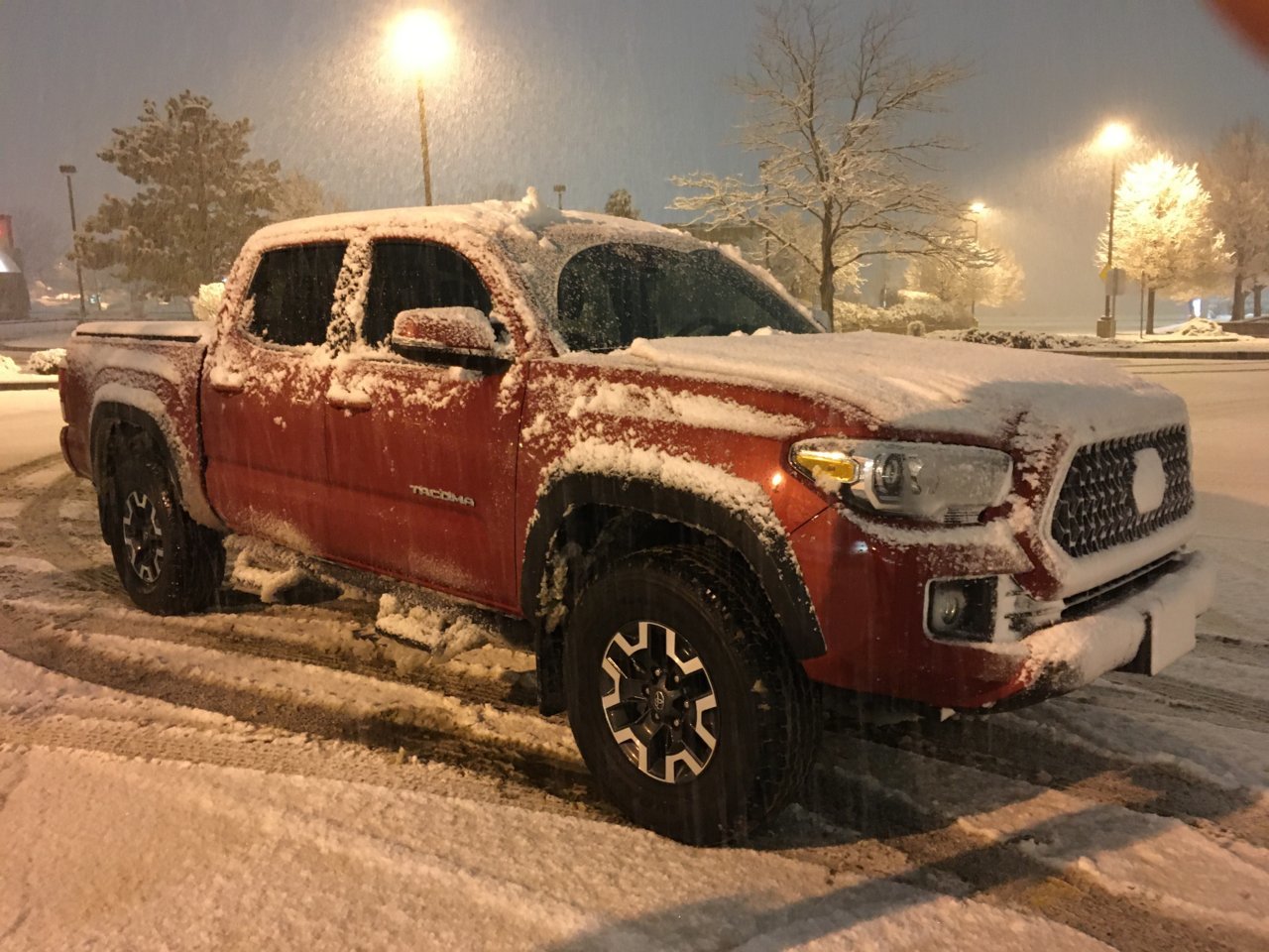 Snow Taco.jpg