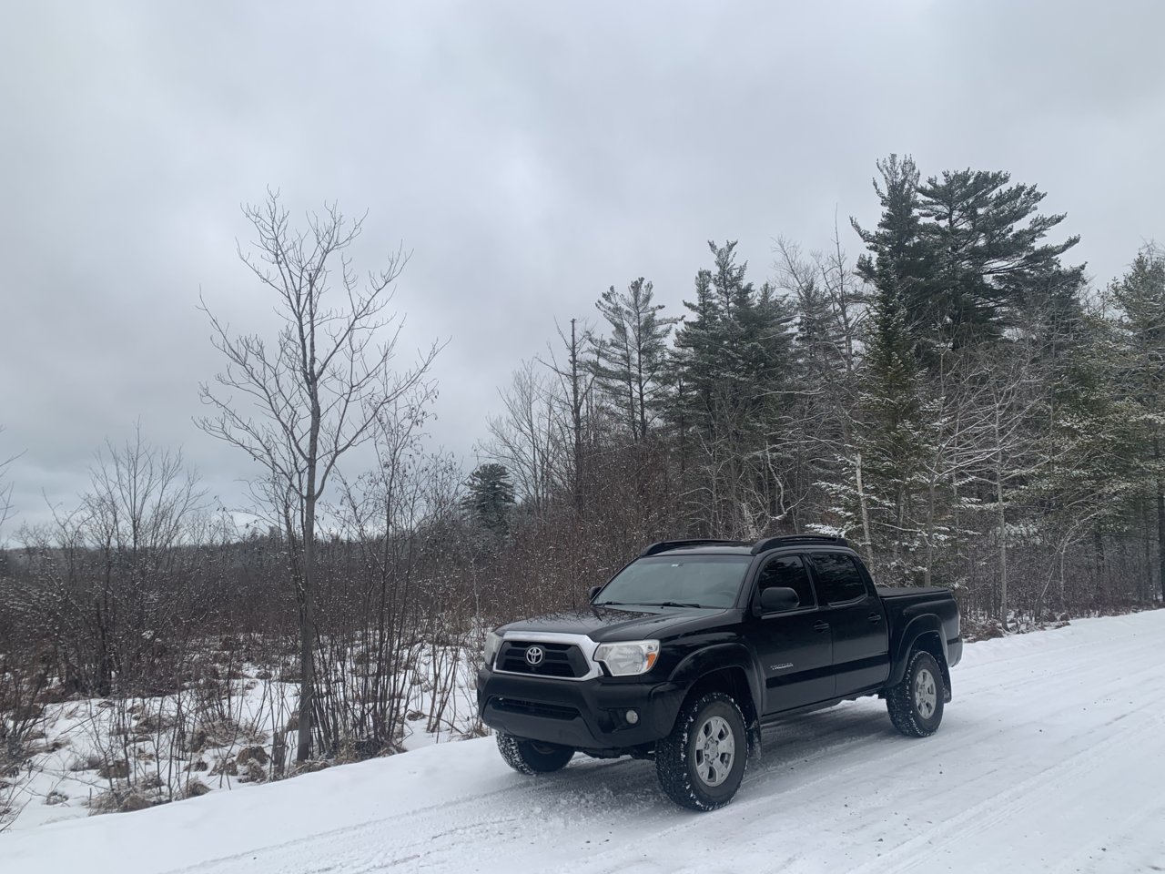 Snow Taco.jpg