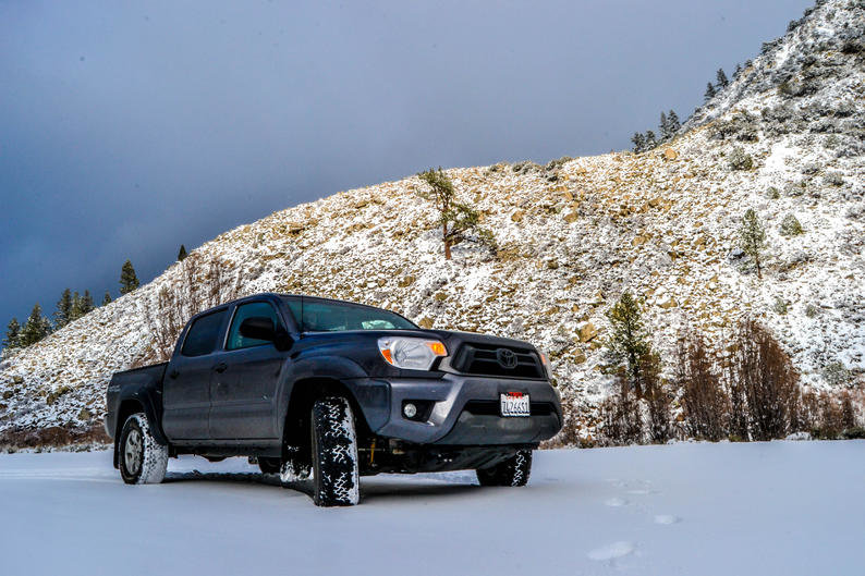 Snow Taco1.jpg