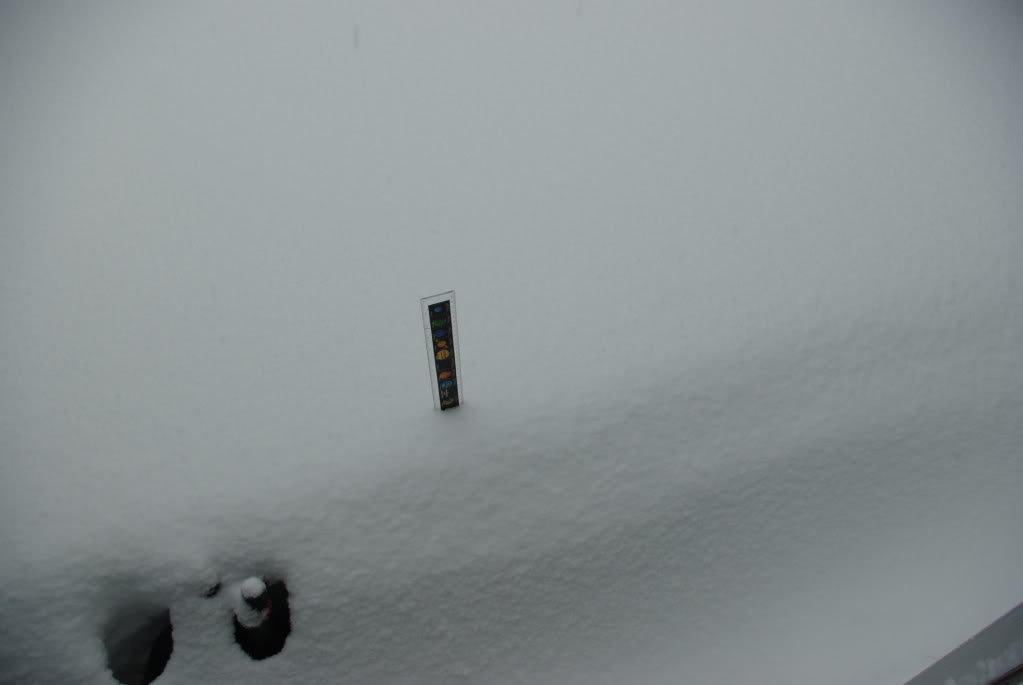 snow005_947ee686f59cfb61f2ef90afd8ba5109770142ed.jpg