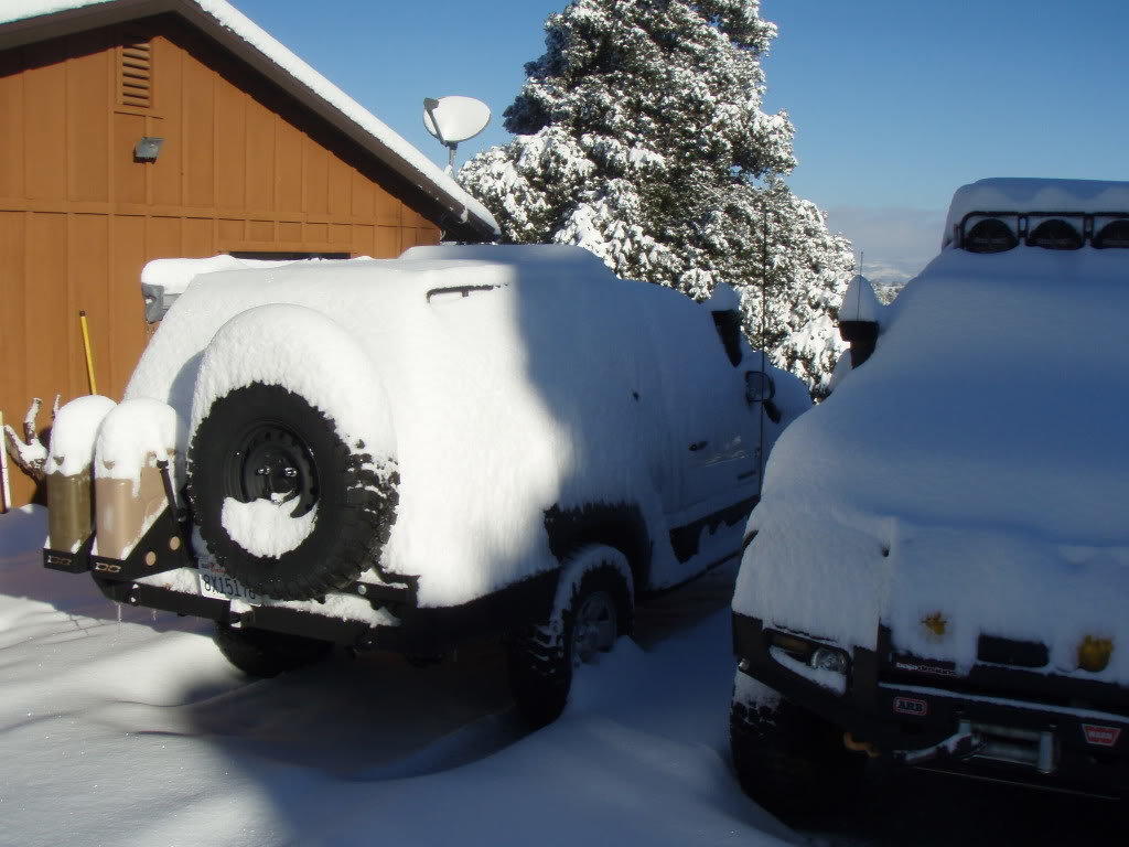 snow014_5d6f4507bc9841e1ac1e261241a229d1f8ea0bba.jpg