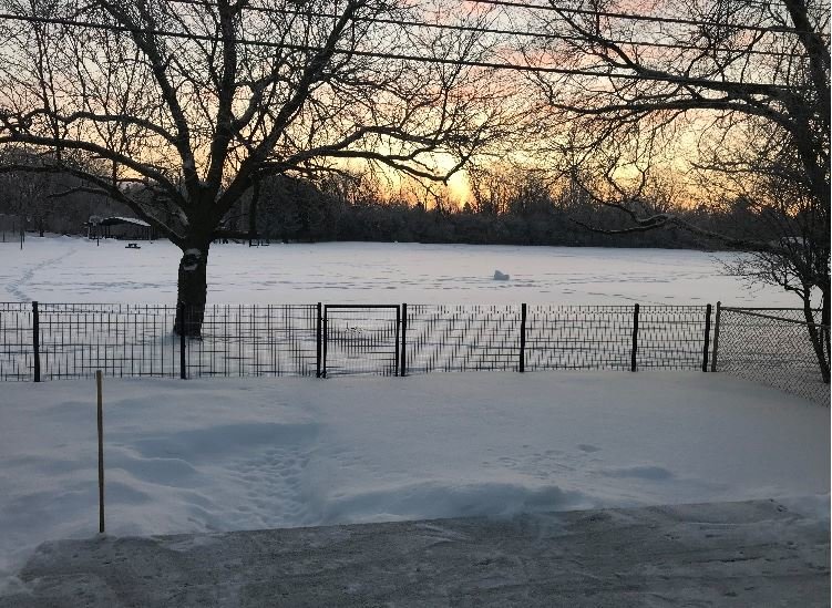SNOW1.jpg