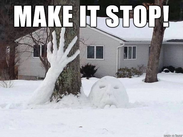 snow1.jpg
