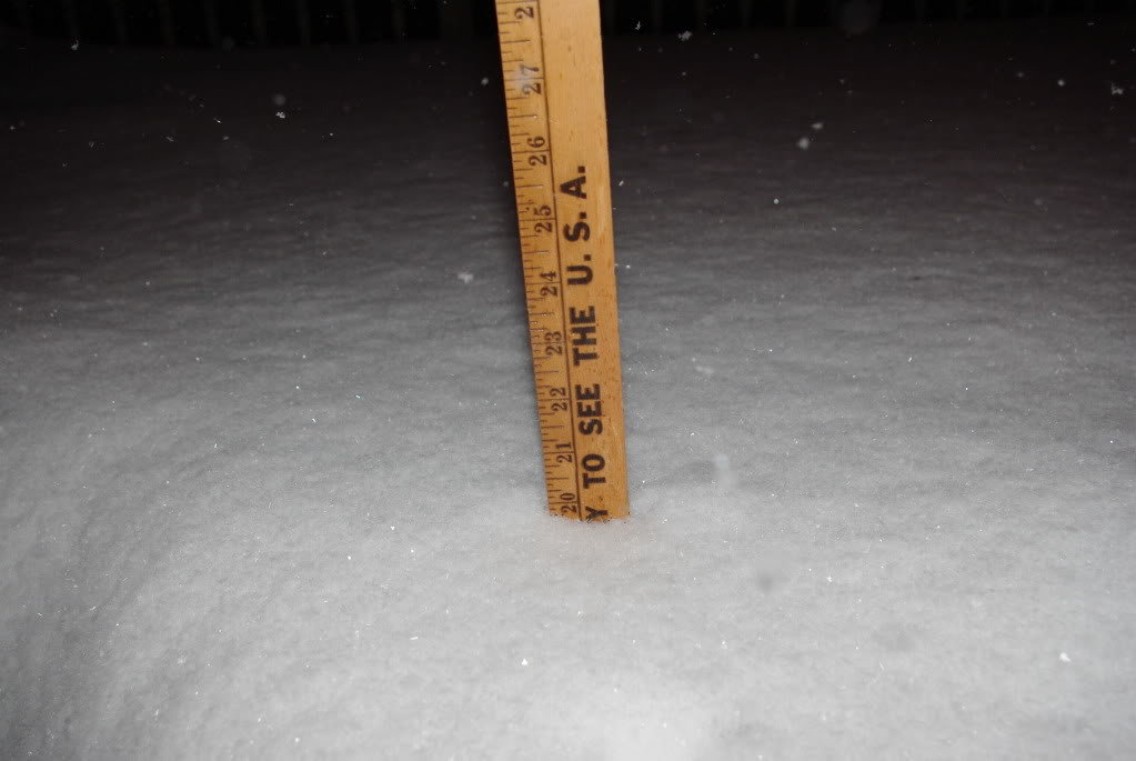 Snow1003_741b6f8dc84a9391ddc5491437b7b5b46db5613d.jpg