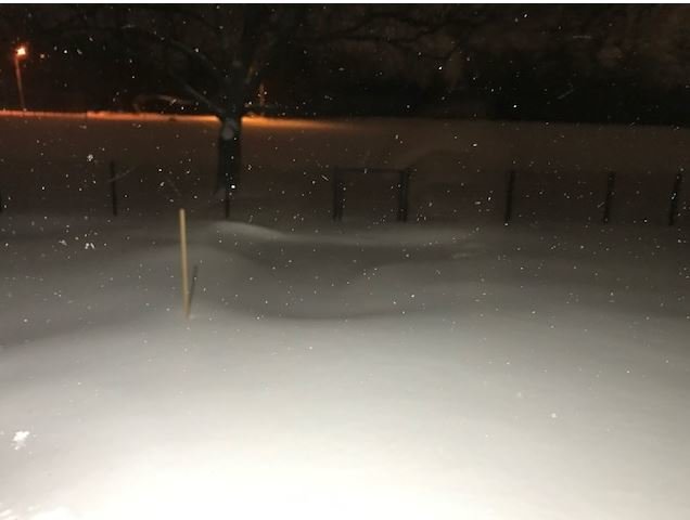 SNOW2.jpg
