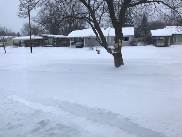 SNOW3.jpg