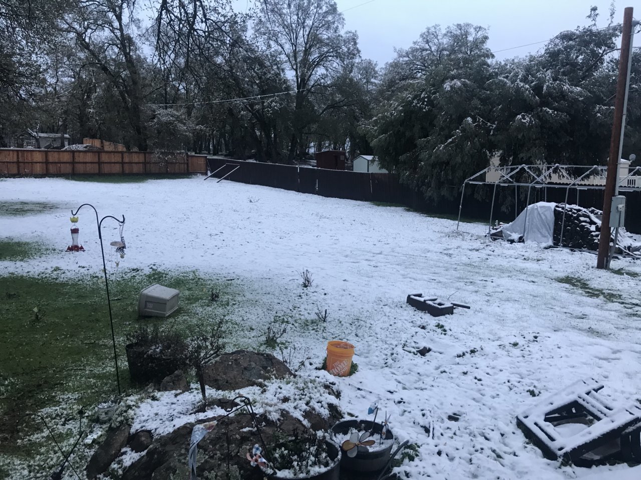 snow3.jpg