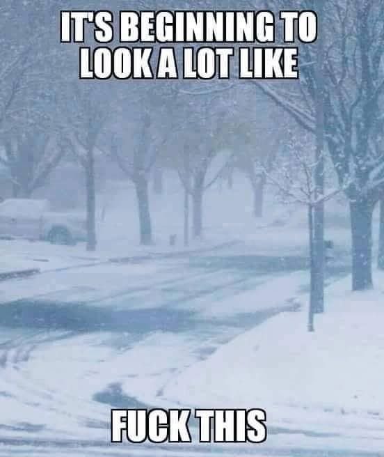 snow6.jpg