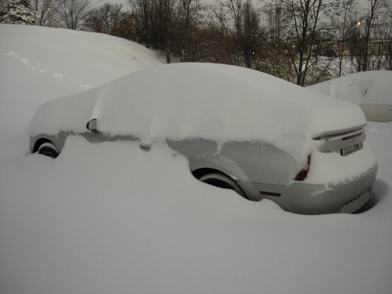Snow_77f0841826bf7f1fafc56a206bf01e7aaa4efc89.jpg