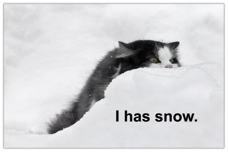 snow_7c2342f902db8ad927073cca39fa1ca94e8243f1.jpg