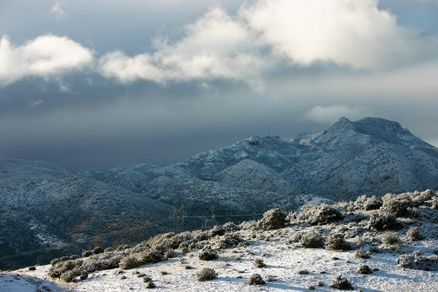 snow_a003c95498b1728f1011832a5507095316986d70.jpg