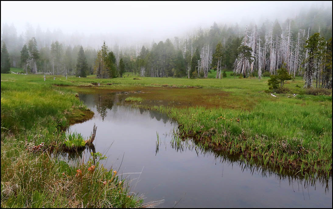snow_camp_meadow_01_7391.jpg