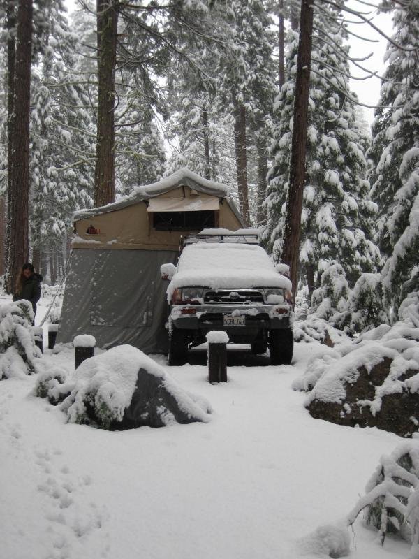 Snow_zpsbd0ff1d0_2e0acf3abfe6b72cd96912c3f5c31f7bd4cc40b9.jpg