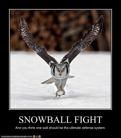 snowballtrex.jpg