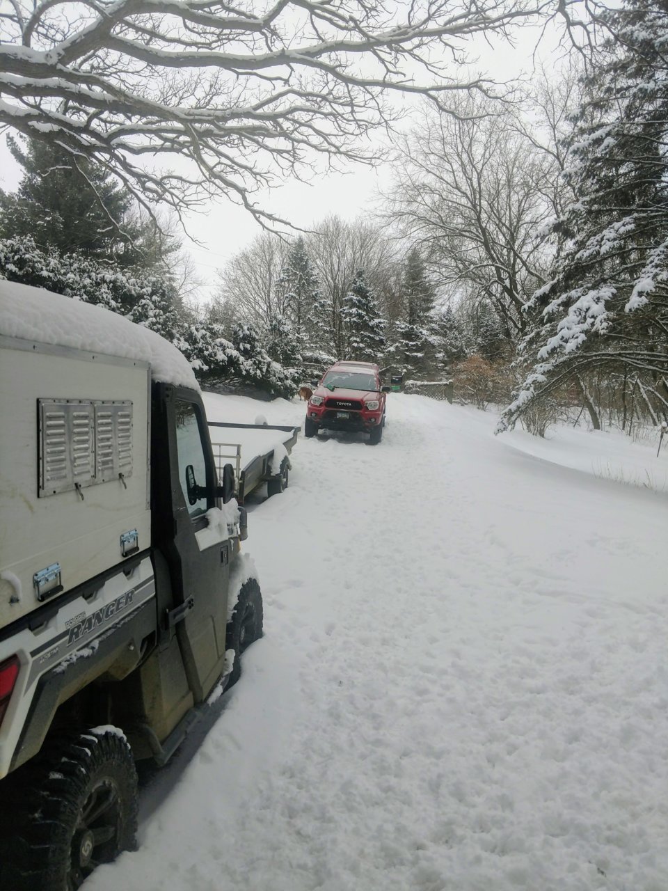 SnowBuggy.jpg