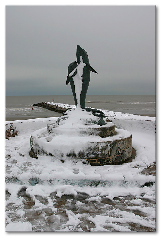 SnowDolphins.jpg