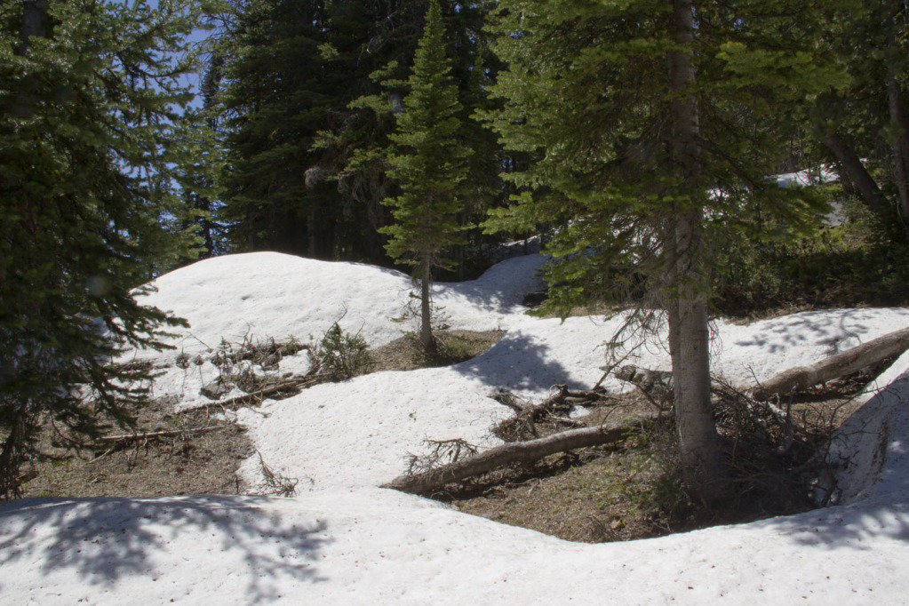 snowdrift_b988fa9da6723da9e4da12e4f806a259e22e40bd.jpg