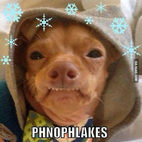 SnowFlakes_c3670b66aef0fa22a542cf536317113d6ef7f542.jpg