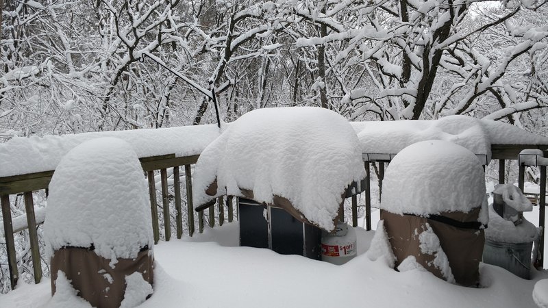 snowgrills.jpg
