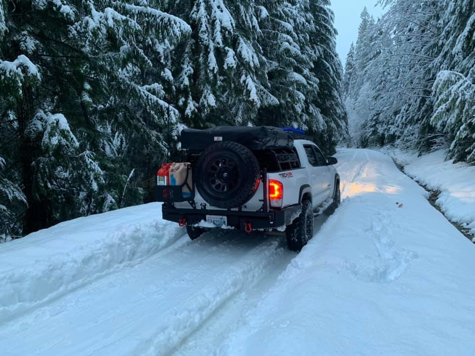 snowjan82.jpg