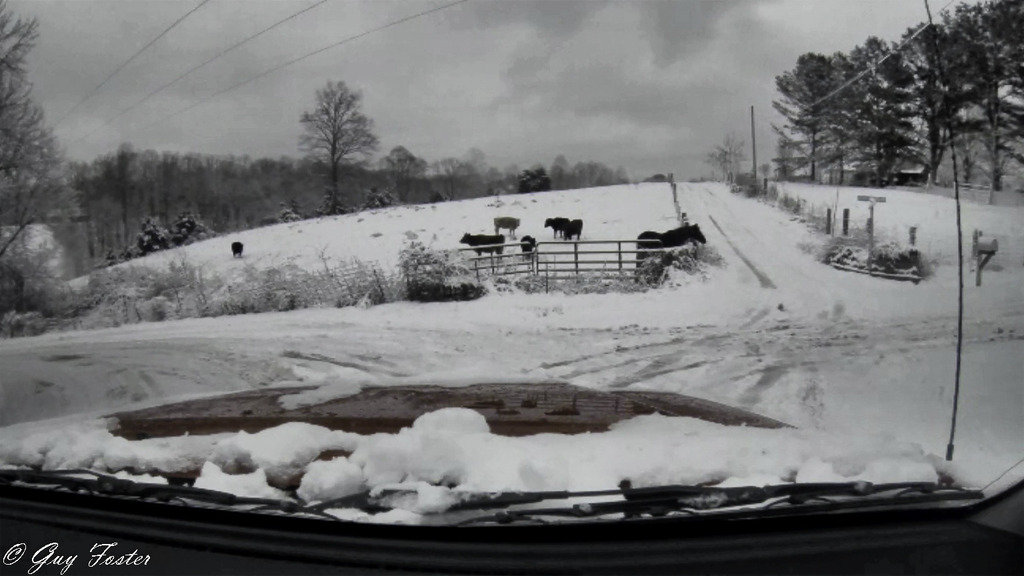 SnowRide_3_371365fa9a018b916312c8aa4b182ad40607a3b9.jpg