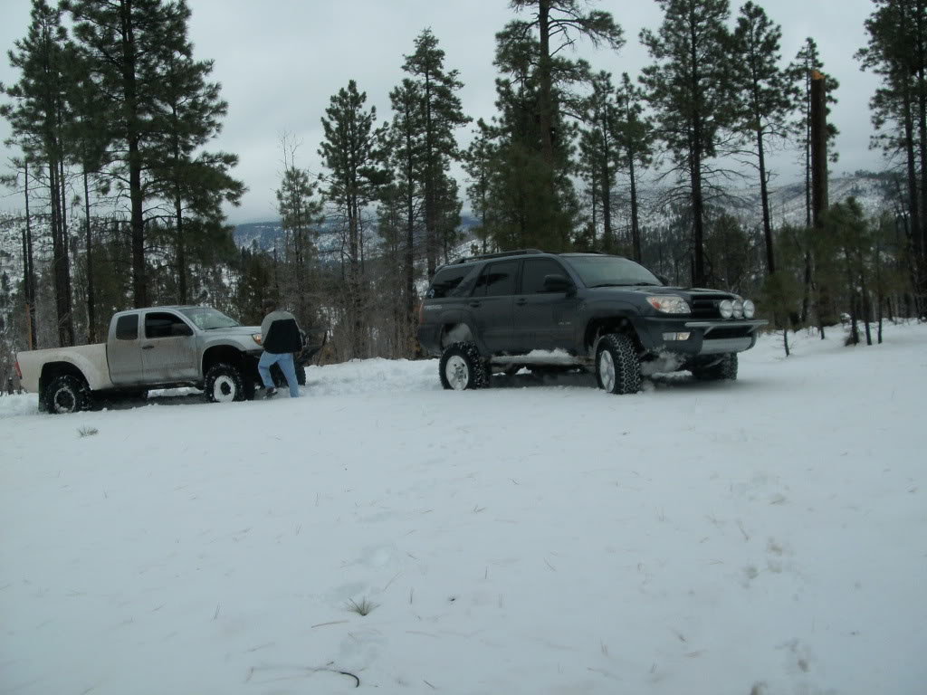 snowrun12-12-09029_76efe2be7e59db29b74f5bf740fc928fc8755801.jpg