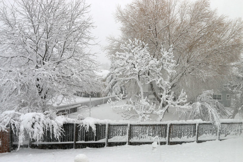 snowstorm.jpg