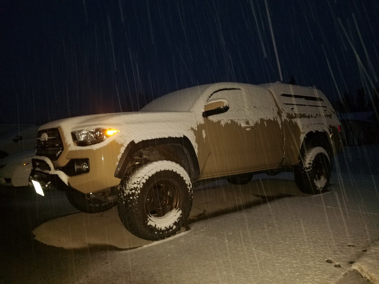 SnowTaco 2-2019.jpg