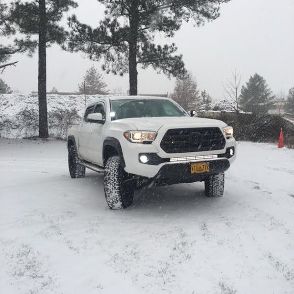 snowtaco.jpg