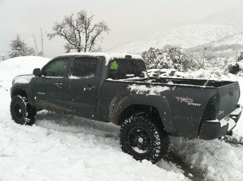snowtaco3.jpg
