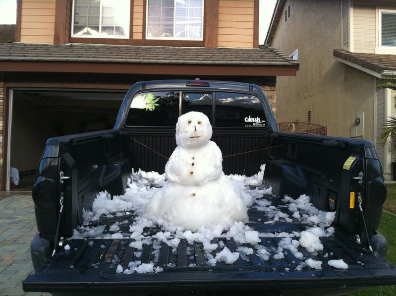 snowtaco4.jpg