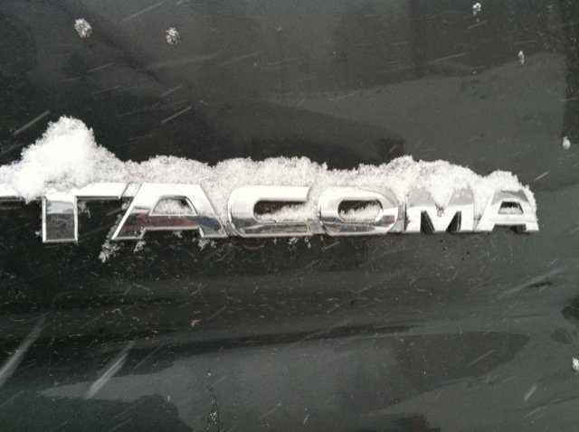 snowtacoemblem.jpg