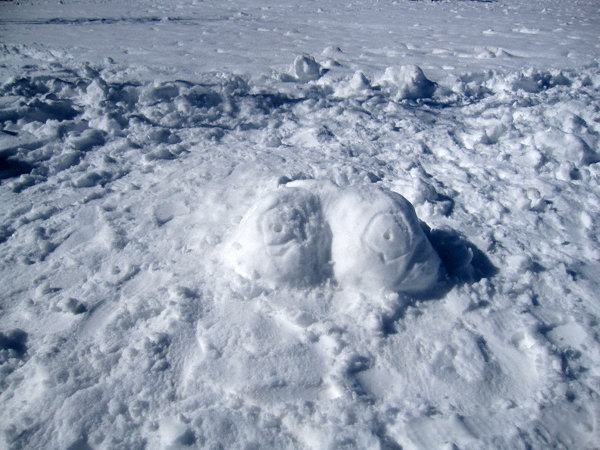 snowtits.jpg