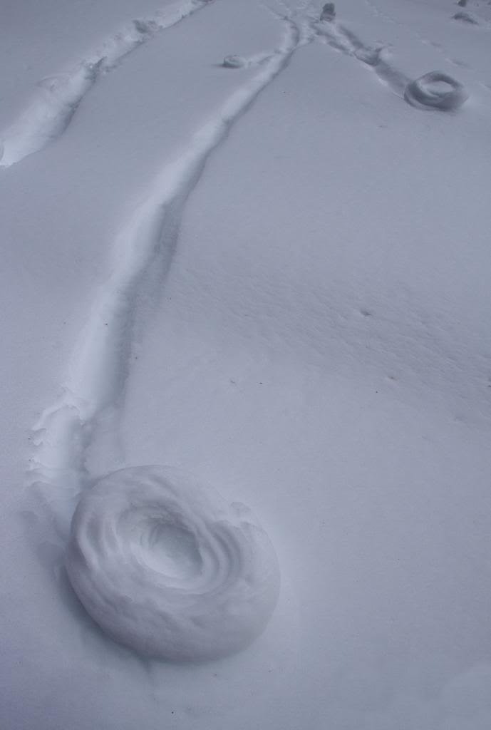 snowwheels_zps73fd32e0_1417f4742424c6da10c7ae781c430c99001deae7.jpg