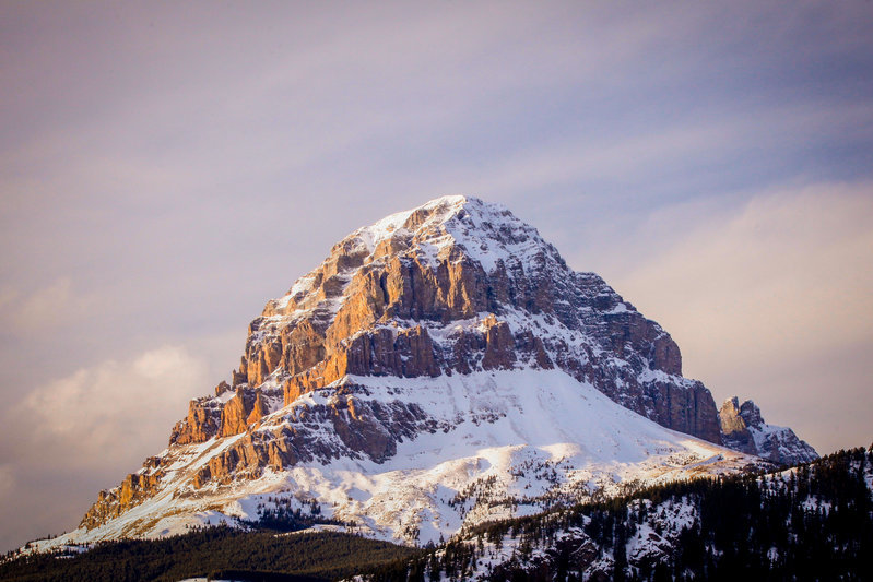 SNOWY CROWSNEST-2.jpg