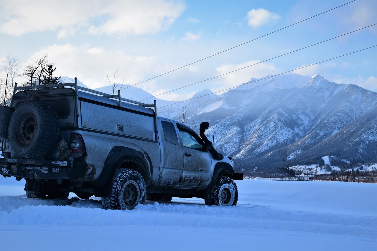snowy.jpg
