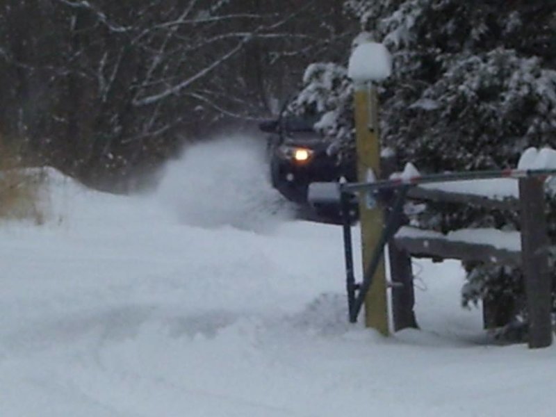 snowy.jpg