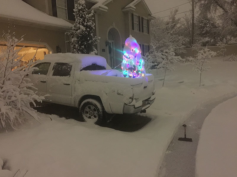 snowy.jpg