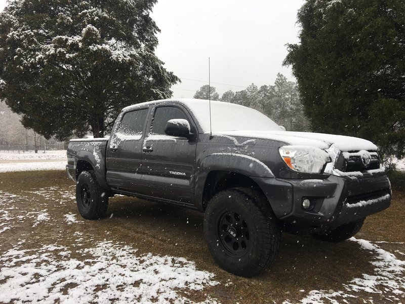 snowy taco.jpg