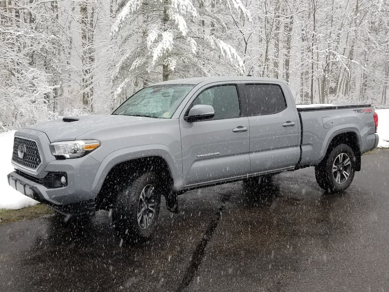 snowy taco.jpg