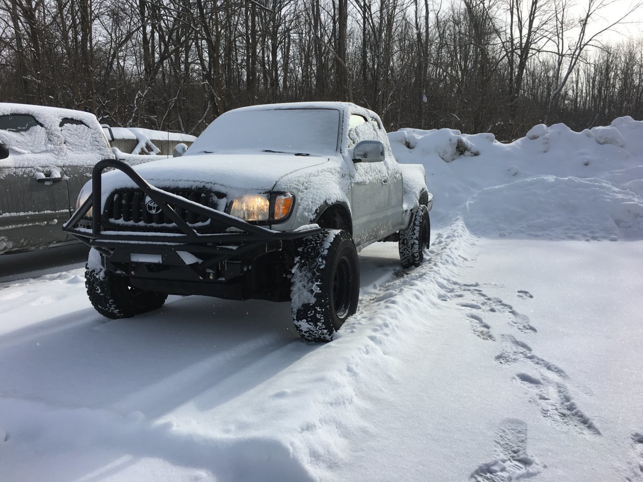 Snowy @ work.jpg