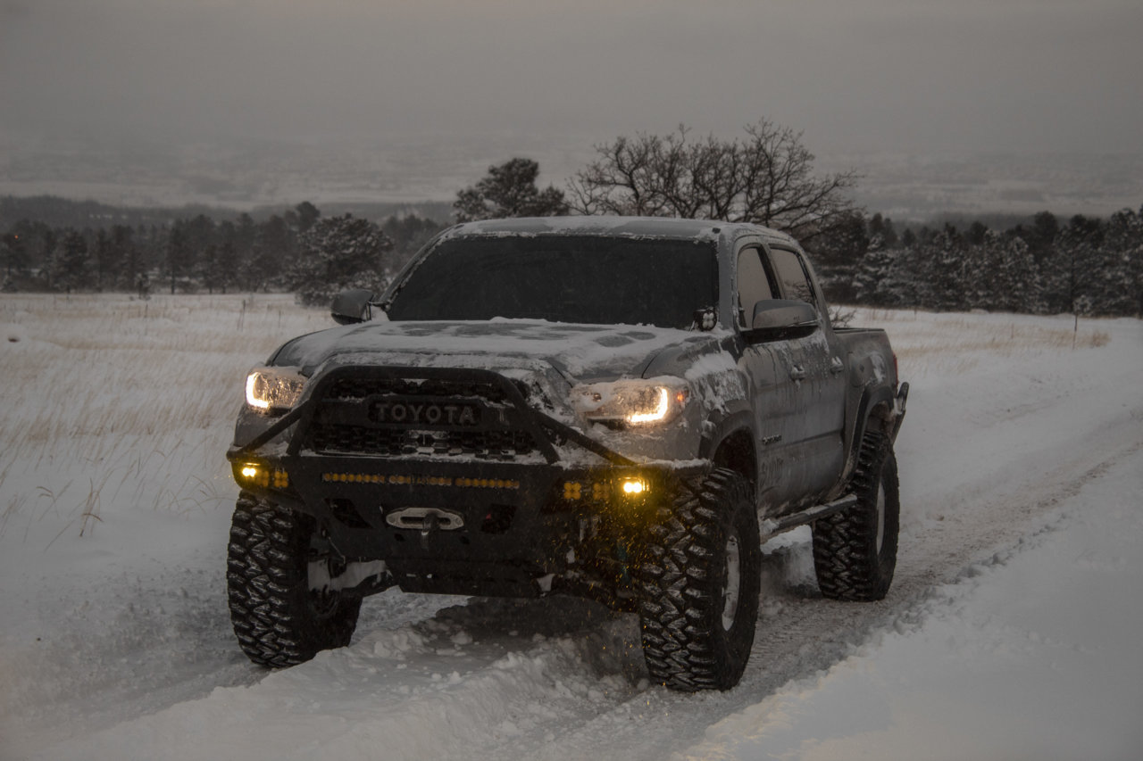 SnowyTaco_done.jpg