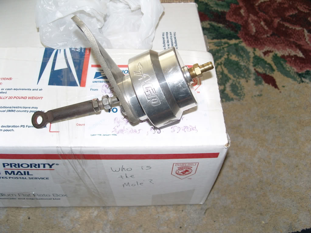 SNV13174.jpg
