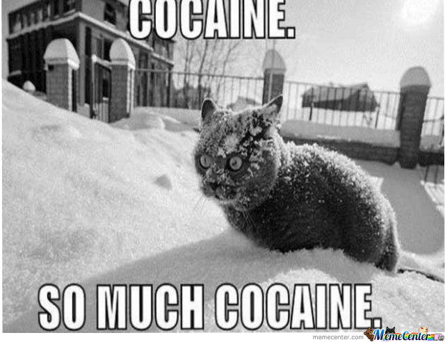 so-much-cocaine_o_340905.jpg